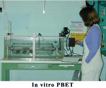 In vitro PBET
