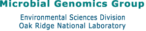 Microbial Genomics Group, Environmental Sciences Division, Oak Ridge National Laboratory