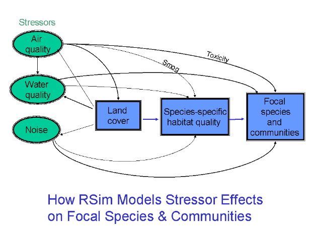 RSim Modeling Framework