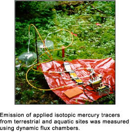 Emission of applied isotopic mercury tracers from terrestrial and aquatic sites was measured using dynamic flux chambers
