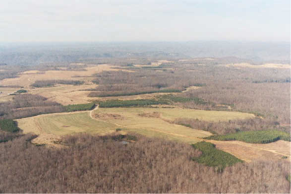 Northern Cumberland Plateau in Tennessee exhibiting a matrix of hardwood forests, agricultural lands, and pine plantations.
