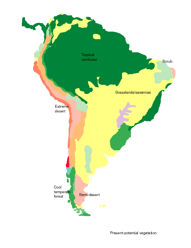 South America during the last 150000 years