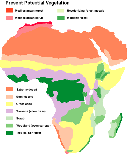 Africa During The Last 150000 Years